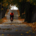 Herfst en Winterprogramma bij SWIFT